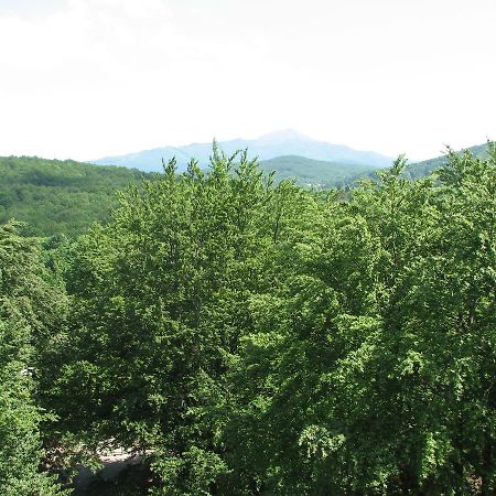 Apartment Vito Plitvička Jezera Εξωτερικό φωτογραφία