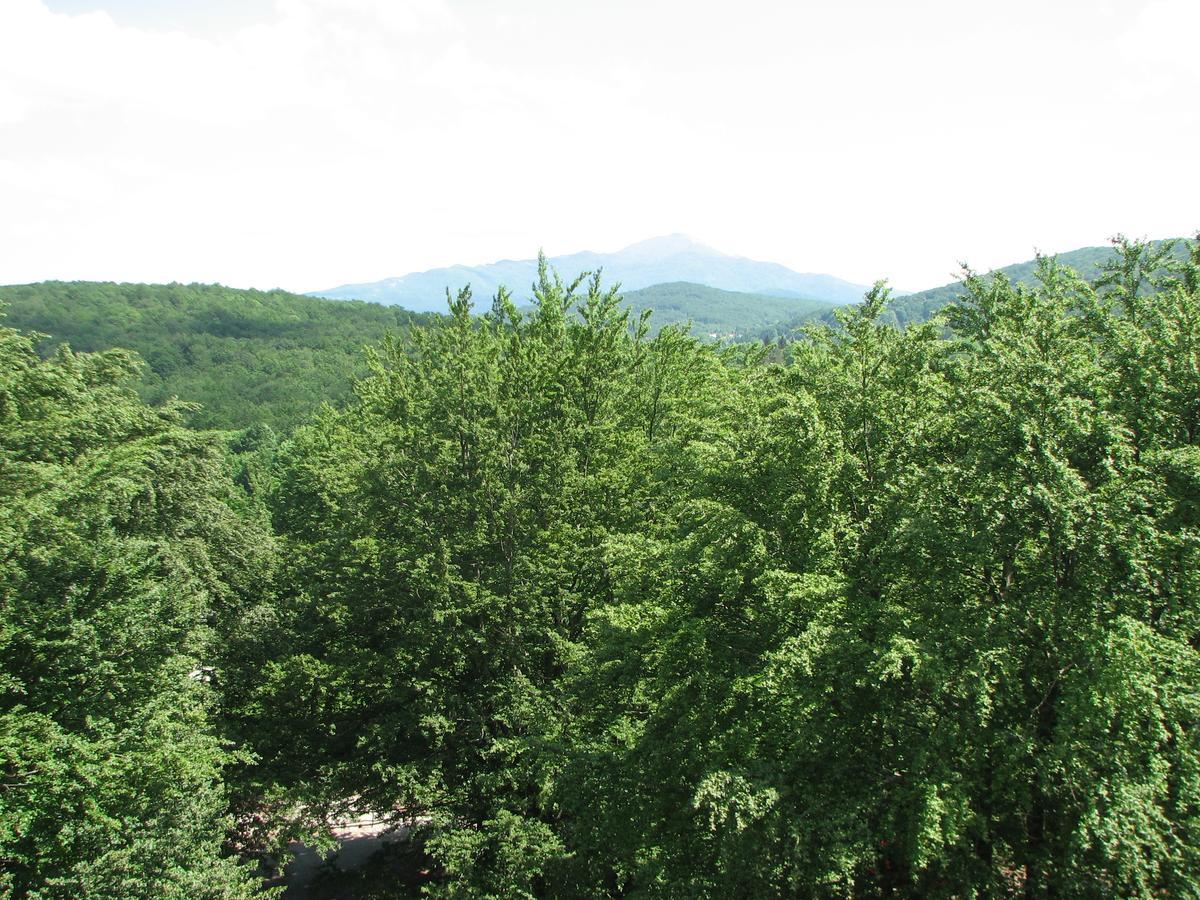 Apartment Vito Plitvička Jezera Εξωτερικό φωτογραφία
